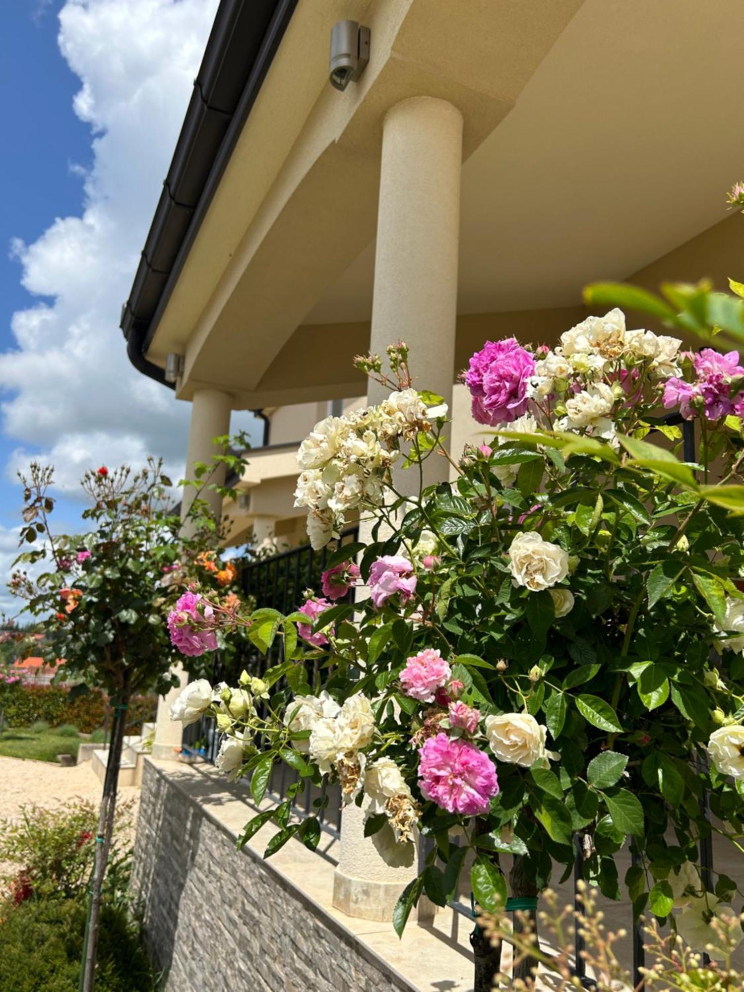 Apartman Marija Međugorje Exterior foto