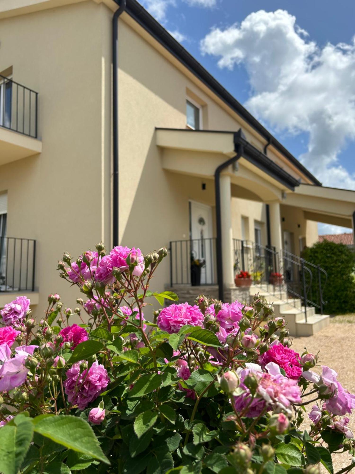 Apartman Marija Međugorje Exterior foto
